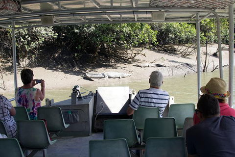 Whitsunday Crocodile Safari Including Lunch - Accommodation Port Macquarie 13
