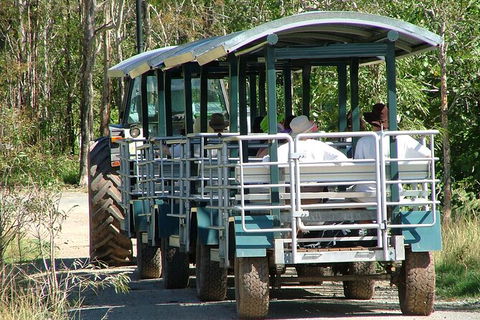 Whitsunday Crocodile Safari Including Lunch - Accommodation Port Macquarie 6