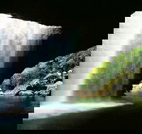 World Heritage Springbrook National Park Tour Including Natural Bridge - Accommodation Port Macquarie