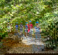 Whitsunday Segway Rainforest Discovery Tour - Accommodation Port Macquarie