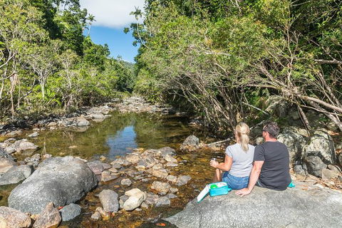 Whitsunday Segway Rainforest Discovery Tour - Accommodation Port Macquarie 4