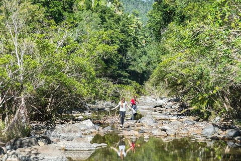 Whitsunday Segway Rainforest Discovery Tour - Accommodation Port Macquarie 10
