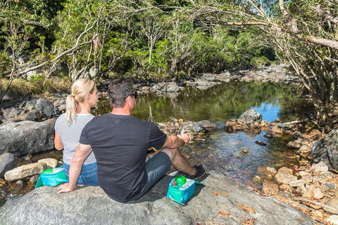 Whitsunday Segway Rainforest Discovery Tour - Accommodation Port Macquarie 6