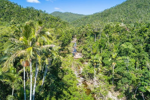 Whitsunday Segway Rainforest Discovery Tour - Accommodation Port Macquarie 5