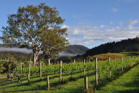 Full Day Mount Tamborine Winery Tour From Gold Coast - Accommodation Port Macquarie 15