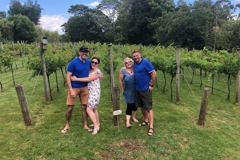 Full Day Mount Tamborine Winery Tour From Gold Coast - Accommodation Port Macquarie 6