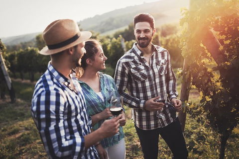 Full Day Mount Tamborine Winery Tour From Gold Coast - Accommodation Port Macquarie 13