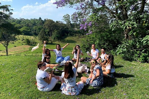 Full Day Mount Tamborine Winery Tour From Gold Coast - Accommodation Port Macquarie 11