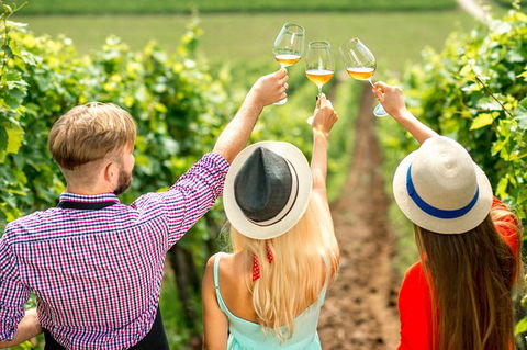Full Day Mount Tamborine Winery Tour From Gold Coast - Accommodation Port Macquarie 14