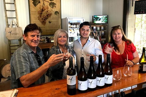 Full Day Mount Tamborine Winery Tour From Gold Coast - Accommodation Port Macquarie 4