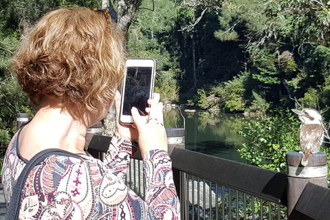 Personalised Private Platypus Land Tour - Accommodation Port Macquarie 1