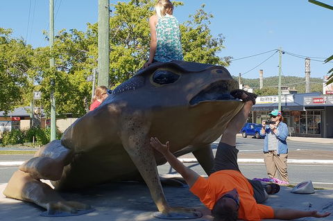 Personalised Private Platypus Land Tour - Accommodation Port Macquarie 5