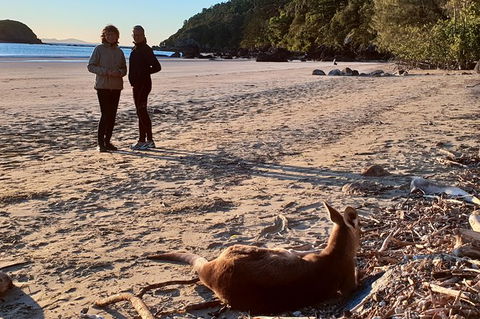 Personalised Private Platypus Land Tour - Accommodation Port Macquarie 10