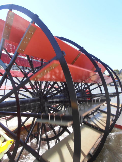 Brisbane River Lunchtime Cruise - Accommodation Port Macquarie 4