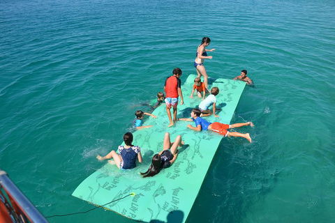 Fraser Island & Dolphin Sailing Adventure - Accommodation Port Macquarie 6