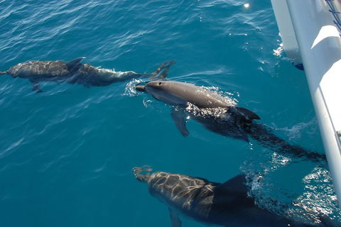 Fraser Island & Dolphin Sailing Adventure - Accommodation Port Macquarie 2
