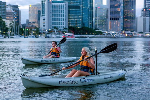Brisbane Kayak Tour - Accommodation Port Macquarie 3