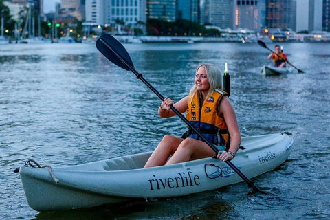 Brisbane Kayak Tour - Accommodation Port Macquarie 5