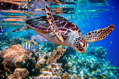 2-Night Whitsunday Islands All-Inclusive Sailing Tour From Airlie Beach - Accommodation Port Macquarie 7