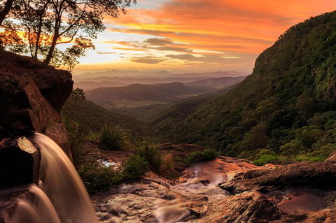 O\'Reilly\'s & Lamington National Park Incl. Alpaca Farm + Vineyard - Accommodation Port Macquarie 6