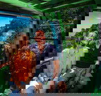 Skyrail Rainforest Cableway Day Trip from Palm Cove - Accommodation Port Macquarie