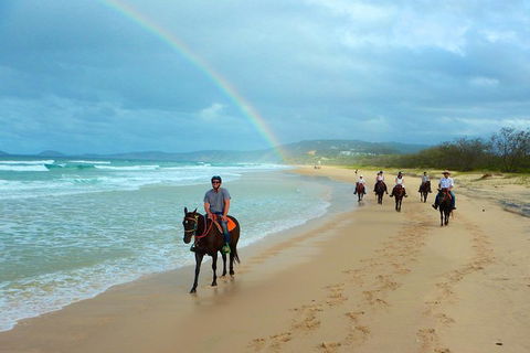 Rainbow Beach Horse Ride - Accommodation Port Macquarie 1