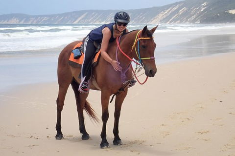Rainbow Beach Horse Ride - Accommodation Port Macquarie 2