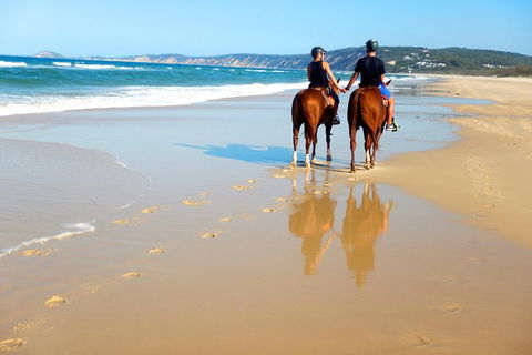 Rainbow Beach Horse Ride - Accommodation Port Macquarie 3