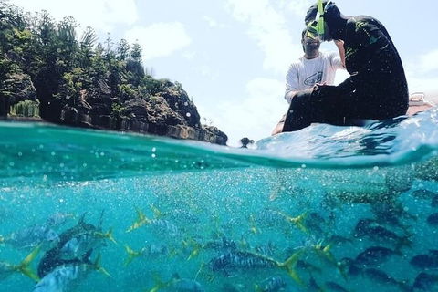 2 Night Small Group Whitsundays Sailing Adventure Aboard Mandrake - Accommodation Port Macquarie 2