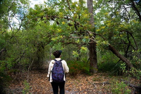 Pack-free Camping: Lake McKenzie Central Hike - 2 Days - Accommodation Port Macquarie 1