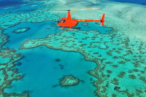 Whitehaven Heli Tour - Accommodation Port Macquarie 4