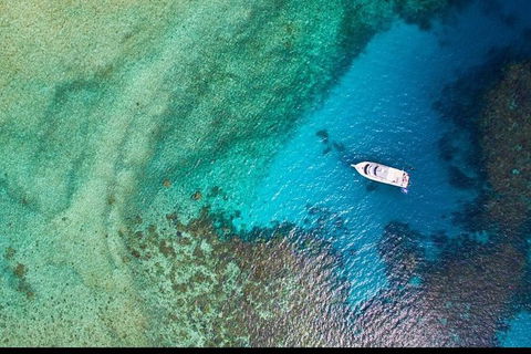 Great Barrier Reef Dive And Snorkel Cruise From Mission Beach - Accommodation Port Macquarie 3