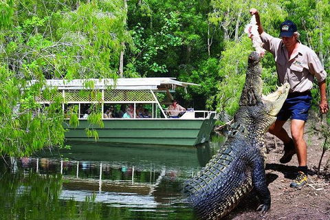Crocs, Creatures And Culture Ex Northern Beaches - Accommodation Port Macquarie 1