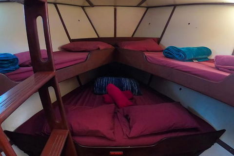 2-Day Whitsundays Sailing Adventure: SV Whitehaven - Accommodation Port Macquarie 6