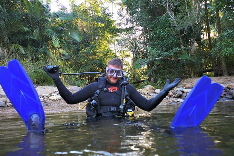 Rainforest Platypus Night Dive (Certified Divers Only Once Day Dive Completed) - Accommodation Port Macquarie 10