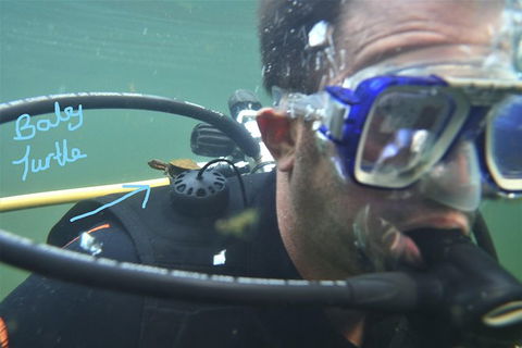 Rainforest Platypus Night Dive (Certified Divers Only Once Day Dive Completed) - Accommodation Port Macquarie 4