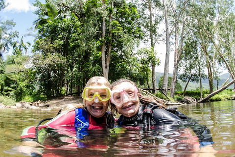 Rainforest Platypus Night Dive (Certified Divers Only Once Day Dive Completed) - Accommodation Port Macquarie 2