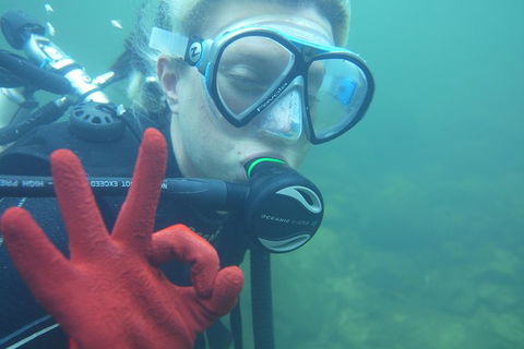 Rainforest Platypus Night Dive (Certified Divers Only Once Day Dive Completed) - Accommodation Port Macquarie 5
