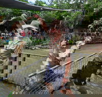 Hartley's Crocodile Adventures Day Trip from Cairns - Accommodation Port Macquarie