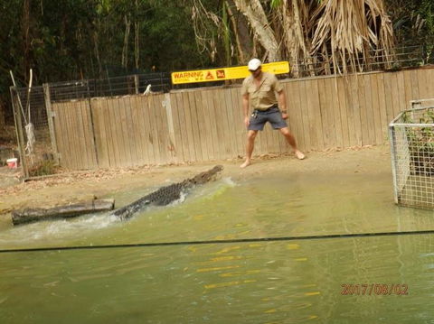Hartley's Crocodile Adventures Day Trip From Cairns - Accommodation Port Macquarie 8