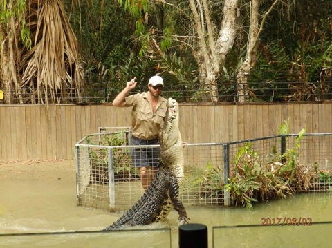 Hartley's Crocodile Adventures Day Trip From Cairns - Accommodation Port Macquarie 2