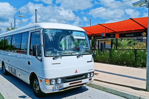 Tamborine Mountain Daily Service, Treetop Challenge And Thunderbird Park - Accommodation Port Macquarie 10