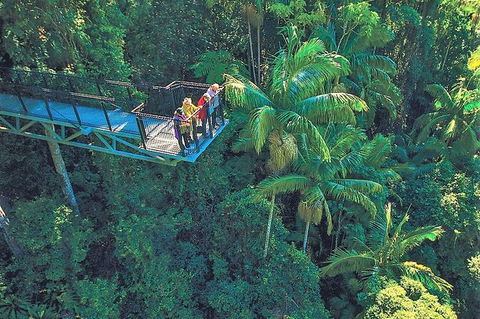 Tamborine Mountain Daily Service, Treetop Challenge And Thunderbird Park - Accommodation Port Macquarie 12