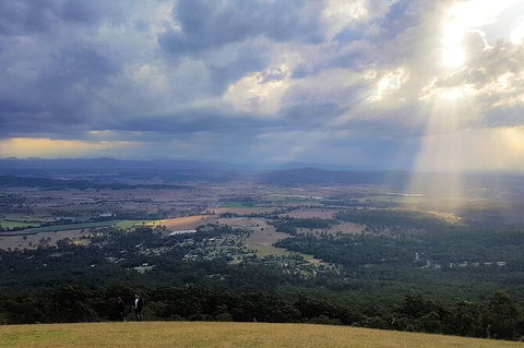 Tamborine Mountain Daily Service, Treetop Challenge And Thunderbird Park - Accommodation Port Macquarie 3