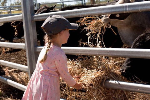Mackay Farm Food And Flavours Tour - Accommodation Port Macquarie 0