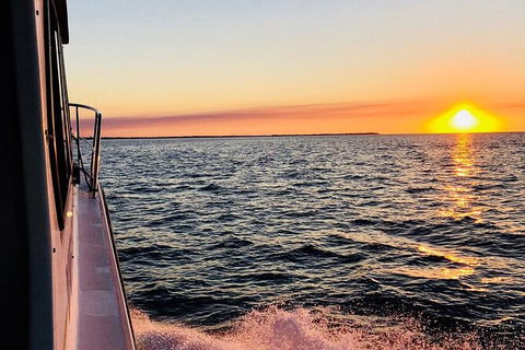 Hervey Bay Whale Swim And Watch - Accommodation Port Macquarie 7