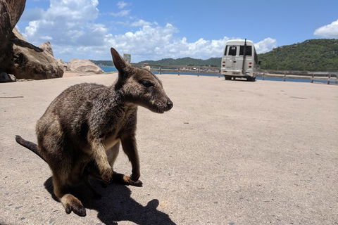 Magnetic Island Tour: Maggie Comprehensive - Accommodation Port Macquarie 0