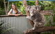 Hartley\'s Crocodile Adventures Day Trip From Palm Cove - thumb 3
