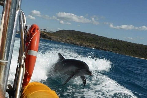 Noosa Oceanrider - Thrill Ride - Accommodation Port Macquarie 4