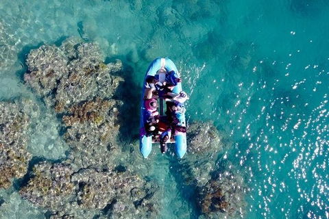 Glass-bottom Boat Tour With Whitehaven Beach - Accommodation Port Macquarie 0